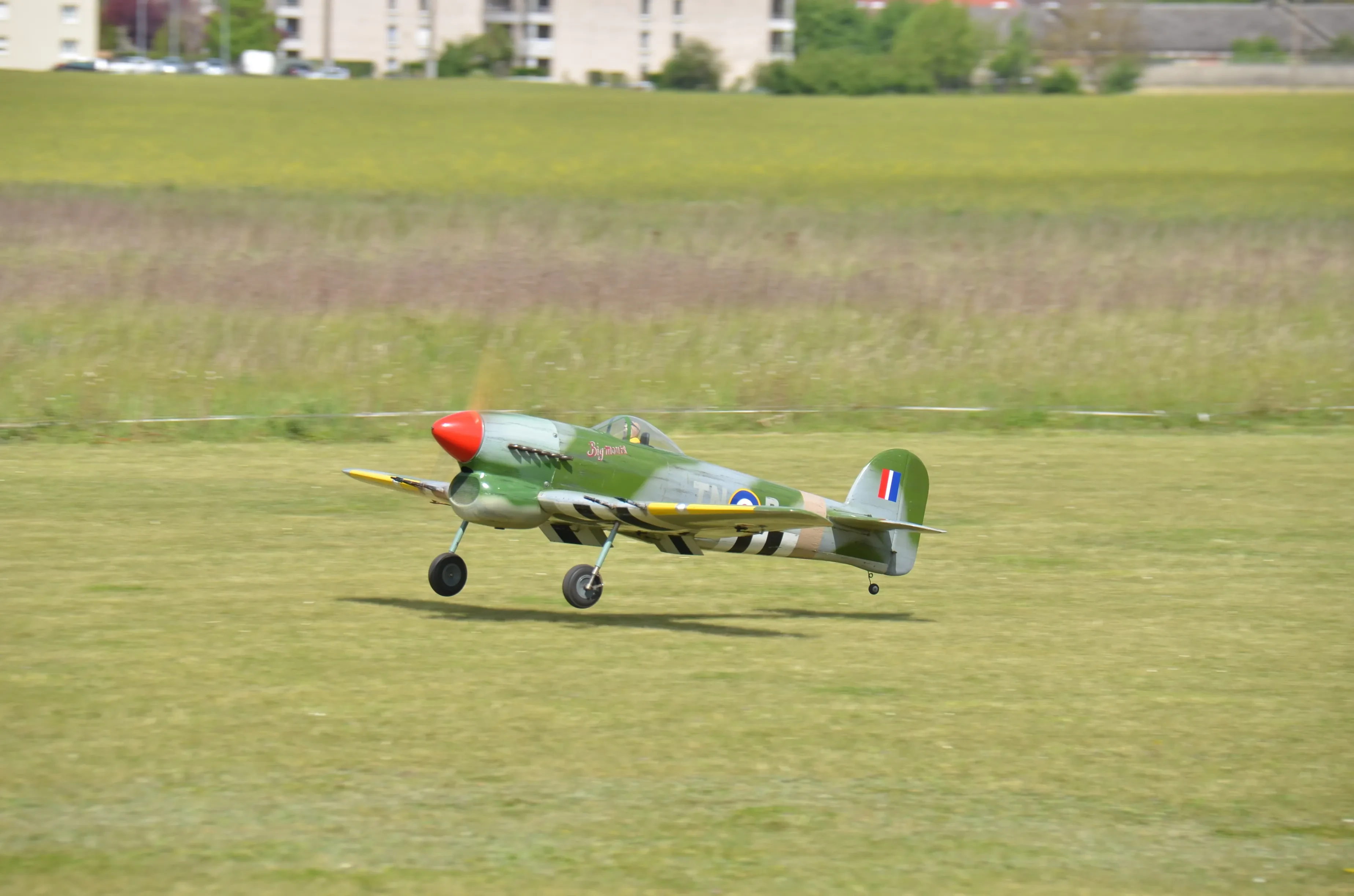 Typhoon / Senlis 2022